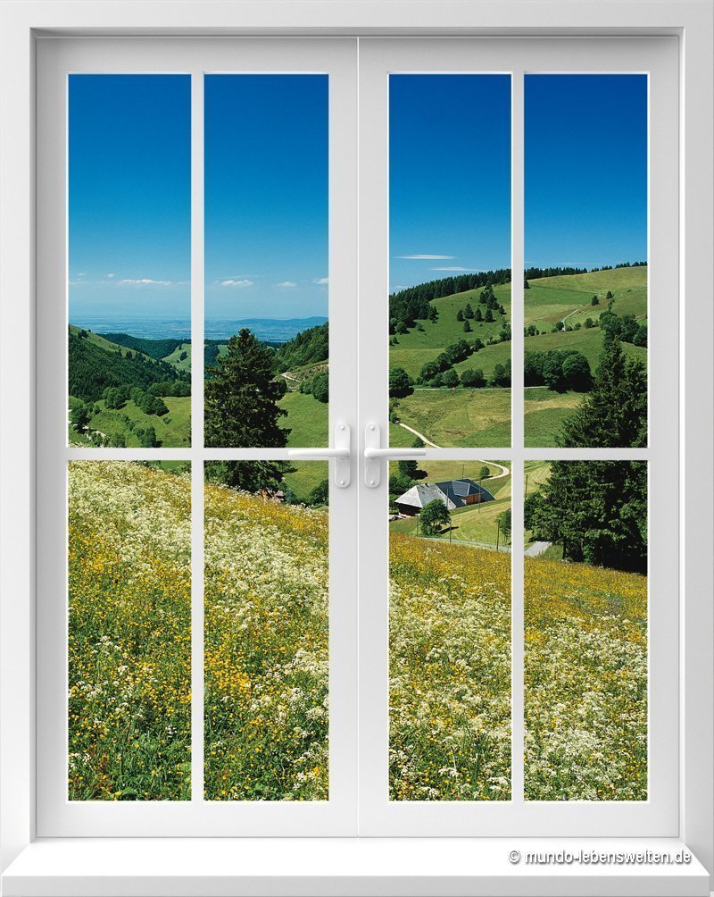 Optische Barriere Fenster Allgäuwiese